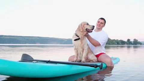 The dog sits on the paddleboard with the owner. Stock Footage 202315540