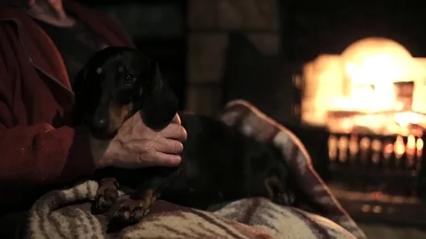 Dog sitting on the laps of the master Stock Footage 75627376