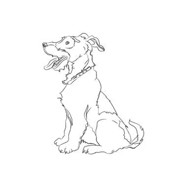 Dog sitting, lines, vector Stock Illustration