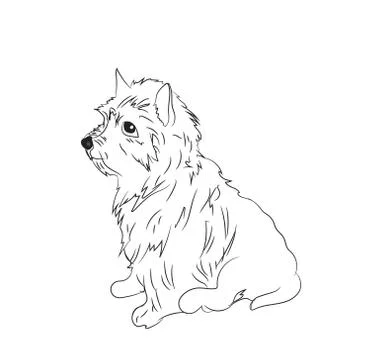 Dog sitting, lines, vector Stock Illustration