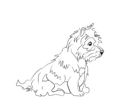 Dog sitting, lines, vector Stock-Illustration