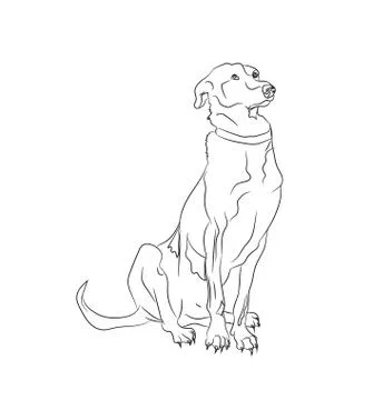 Dog sitting, lines, vector Stock Illustration