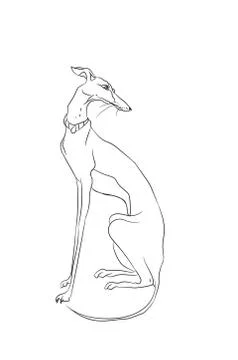 Dog sitting, lines, vector Stock Illustration