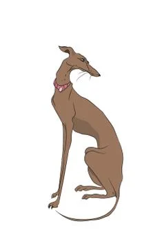 Dog sitting, lines, vector Illustrazione stock
