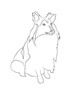 Dog sitting, lines, vector Illustrazione stock
