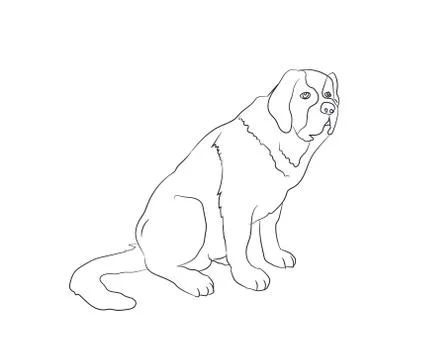 Dog sitting, lines, vector Illustrazione stock