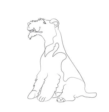 Dog sitting, lines, vector Stock-Illustration