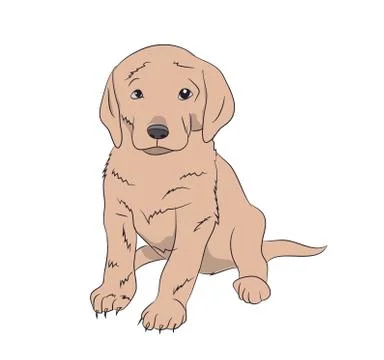 Dog sitting, lines, vector Stock Illustration