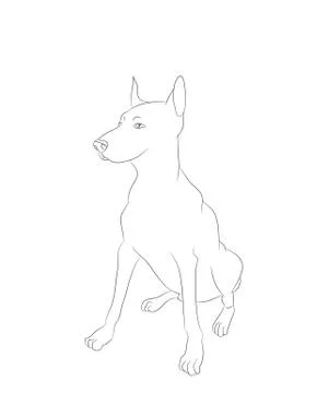 Dog sitting, lines, vector Stock-Illustration