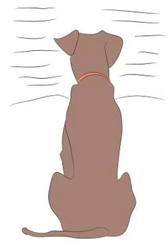 Dog sitting, lines, vector Stock-Illustration