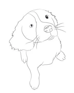 Dog sitting, lines, vector Stock Illustration