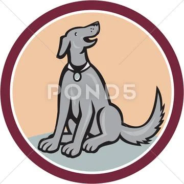 Dog sitting looking up cartoon Stock Illustration