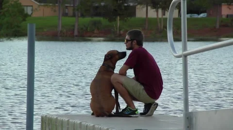 Dog sitting on pier with boy Video stock 42232617