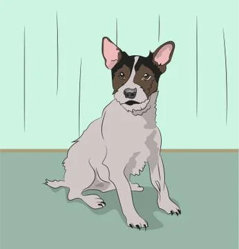 Dog sitting in a room, vector Stock-Illustration