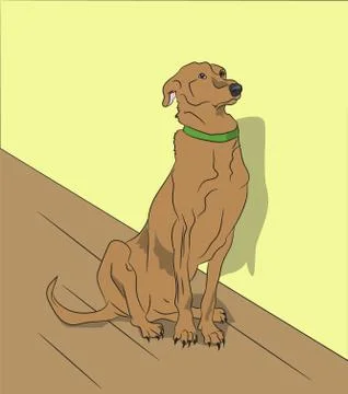 Dog sitting in a room, vector Stock Illustration