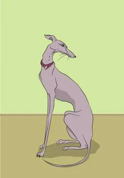 Dog sitting in a room, vector Illustrazione stock