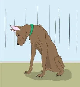 Dog sitting in a room, vector Stock Illustration