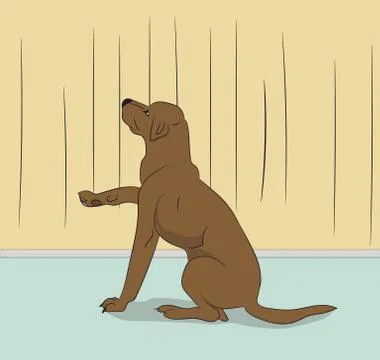 Dog sitting in a room, vector Stock Illustration