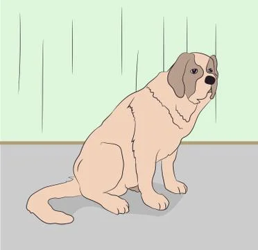 Dog sitting in a room, vector Stock Illustration