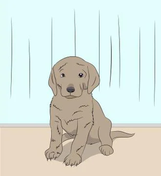 Dog sitting in a room, vector Stock Illustration