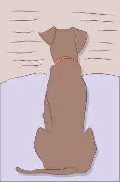Dog sitting in a room, vector Stock-Illustration