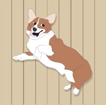 Dog sitting in a room, vector Stock Illustration
