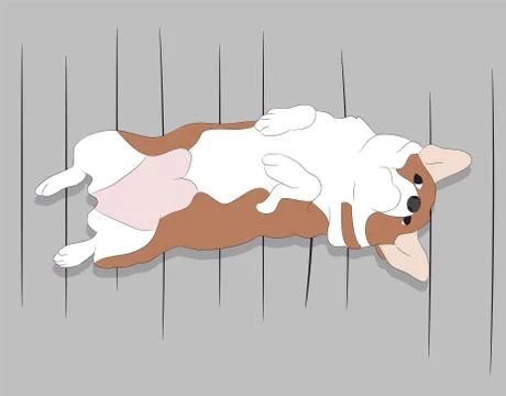 Dog sitting in a room, vector Stock-Illustration