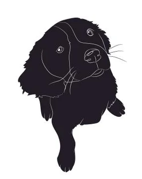 Dog sitting, silhouette, vector Stock Illustration