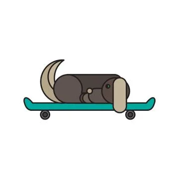 Dog sitting on a skateboard Stock Illustration