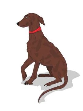 Dog sitting, vector Stock Illustration