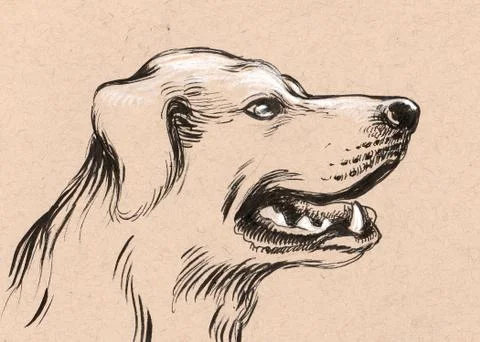 Dog sketch Stock Illustration
