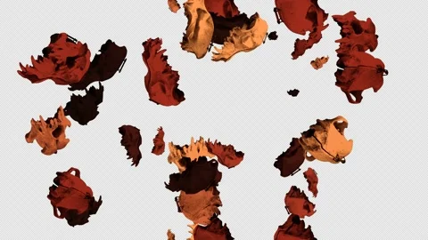 Dog Skull Animation Stock Footage 160188480