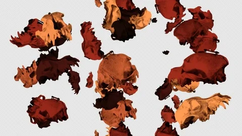 Dog Skull Animation Stock Footage 160188846