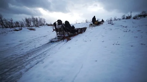 Dog sled 2 Stock Footage 89503768