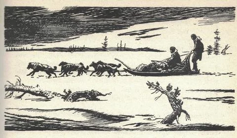 A dog sled pulls a sleigh with hunters. Old black and white illustration. Illustrazione stock