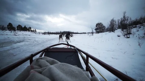 Dog sled sledding amazing Stock Footage 89503903