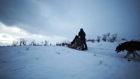 Dog sled sledding husky Stock Footage 89503821
