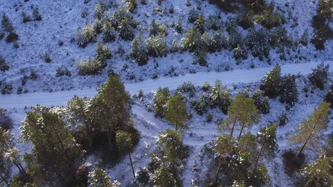 Dog sled team running through forest. Aerial 4K Stock Footage 102861865