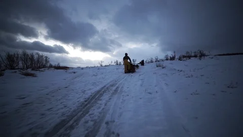 Dog sledding camera move inn Stock Footage 89503848