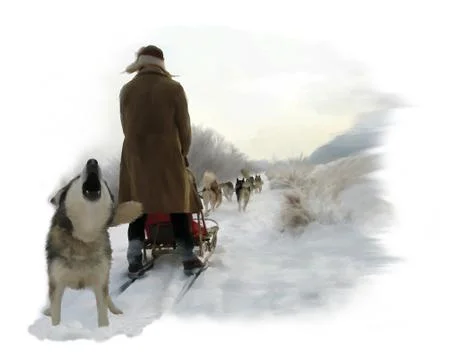 Dog sledding in the snow Stock-Illustration