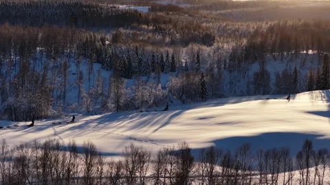 Dog sledding team mushing across a vast snowy winter landscape, Norway 스톡 동영상 340426942