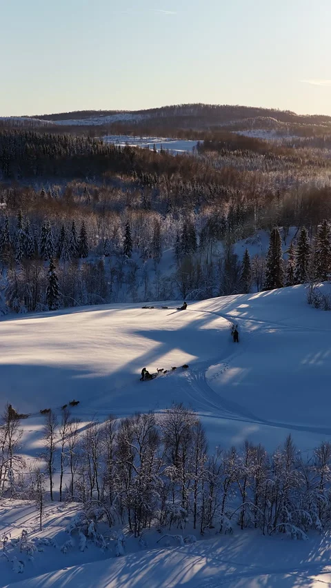 Dog sledding team navigating snowy Norway landscape Stock Footage 345572788