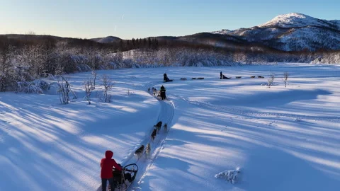 Dog sledding team running through snowy landscape, Norway Stock-Footage 340238732