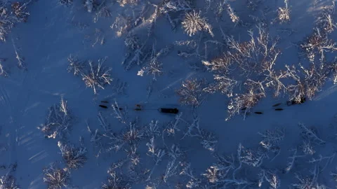 Dog sledding teams racing through snowy winter forest aerial view, Norway 스톡 동영상 340426956