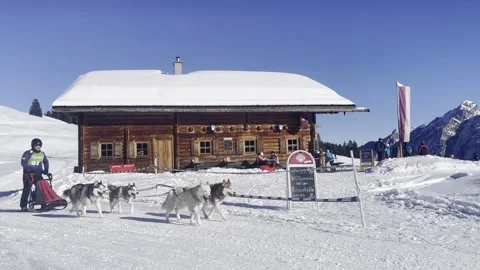 Dog sledge race in austria Stock Footage 294184336