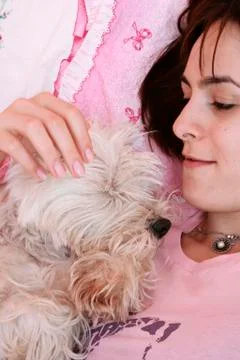 Dog sleeping on bed Stock Photos