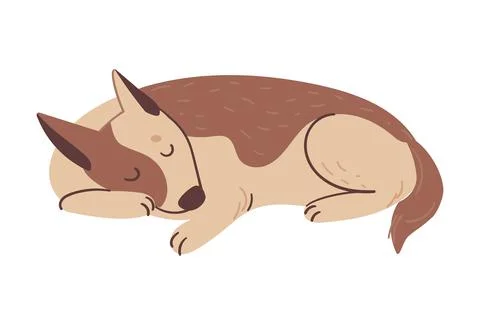 The dog is sleeping Stock Illustration