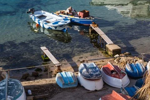 Dog sleeping on the jetty Stock Photos