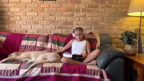 Dog sleeping on a sofa Stock Footage 299791726