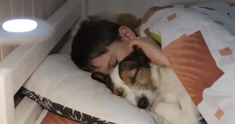 The dog sleeps with the boy in The Stock Video Pond5